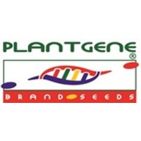 Plantgene Seeds Pvt Ltd logo - Similar company to Saline Seed S.P.R De R.L.