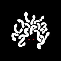 Medusa Asset Management Society