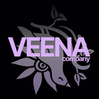 VEENA COMPANY logo - Similar company to Knowledge Equity Lab