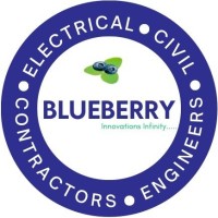 VD BLUEBERRY logo - Similar company to Globose Systems And Solution Pvt Ltd