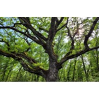 SAS ISSORIA logo - Similar company to Craft Capital Partners