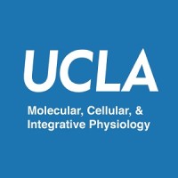 UCLA Molecular, Cellular & Integrative Physiology Interdepartmental PhD program logo - Similar company to Phd Program