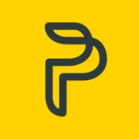 Promee logo - Similar company to Dsm Advisory