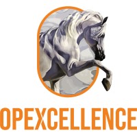 OPEXCELLENCE logo - Similar company to Nume