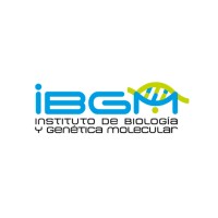 IBGM - CSIC/UVa logo - Similar company to Icicor - Instituto De Ciencias Del Corazón