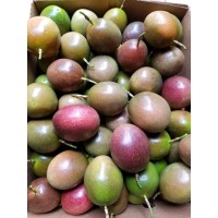 mbazifoods logo - Similar company to Native Harvests