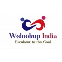 Welookup India HR Solutions Pvt Ltd logo - Similar company to It Networks