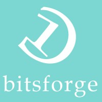 BITSFORGE logo - Similar company to Makonics Infinity Solutions Pvt. Ltd.