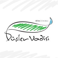 Düşler Vadisi Riva logo - Similar company to Hitit İnşaat