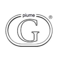 GALEOTTIPIUME logo - Similar company to Ebtex - Bertini