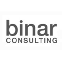 BINAR Consulting logo - Similar company to Ames Argentina