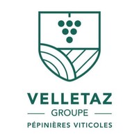 Grapevine nursery Velletaz Groupe logo - Similar company to Vitis-Import
