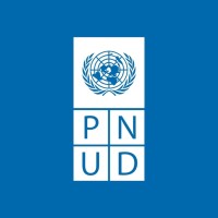 PNUD Paraguay logo - Similar company to Techo Paraguay