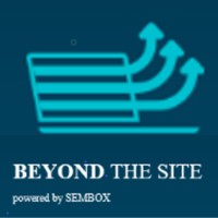 Beyond The Site logo - Similar company to Beyondsite