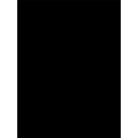 Ceroen Software Solutions Pvt. Ltd. logo - Similar company to Indees It Solutions Pvt. Ltd