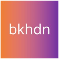 bkhdn logo - Similar company to Van Der Werff Controlling