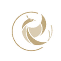 Zenklusen Consulting & Partner logo - Similar company to Tjikko