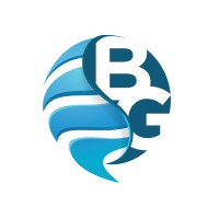 Bolu Globe IT logo - Similar company to Monarch Financial Services