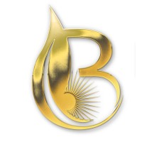 Bharathi Solar Pvt Ltd logo - Similar company to Bharathi Solar Private Limited