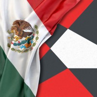 CECSAMEX logo - Similar company to Hemost