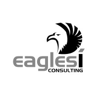 Eagles i Consulting logo - Similar company to Kids Concepts