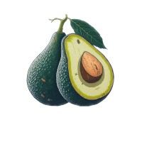 Shavacadu logo - Similar company to Gogedit Inc.