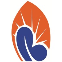 Berhan Insurance S.C logo - Similar company to Addis Insurance Brokers