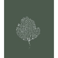 Umber Design logo - Similar company to Parker Grears Developments