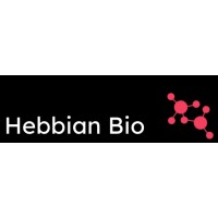 Hebbian Bio logo - Similar company to Orb Therapeutics