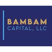 Bam Bam Capital LLC logo - Similar company to Violin Systems