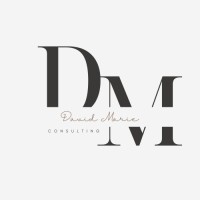 David Marie Consulting logo - Similar company to Daitalink (Formally Interact)