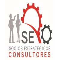 Socios Estratégicos Consultores logo - Similar company to Gemba Consulting Group Latam