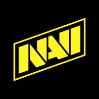 Natus Vincere logo - Similar company to Virtus.Pro