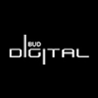 Bud Digital logo - Similar company to Gervanora Data Services Llp