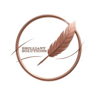 Brilliant Solutions logo - Similar company to Brilliant Solutions