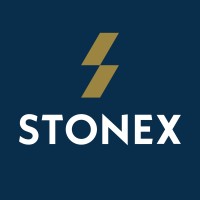 Stonex logo - Similar company to Hecatech Việt Nam