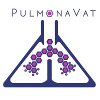 PulmonaVat logo - Similar company to Spine Labs