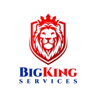 BigKing Services logo - Similar company to Dignity Of Children
