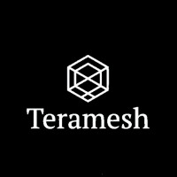 Teramesh, Inc logo - Similar company to Ignite Bytes