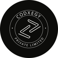 CodXegy Private Limited logo - Similar company to Dakshith Technologies