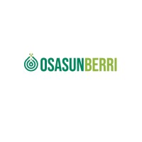 OSASUNBERRI logo - Similar company to Ctechnano-Coating Technologies S.L.