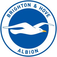 Brighton & Hove Albion Football Club logo - Similar company to Changing Minds Uk