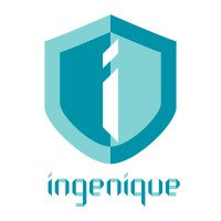Ingenique Solutions Pte Ltd logo - Similar company to Pilot Simple Software