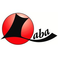 Laba Holdings Limited logo - Similar company to Laba