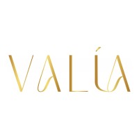 VALÍA SpA logo - Similar company to Valia S.P.A.