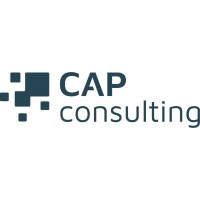 cap consulting GmbH logo - Similar company to Snaggit