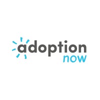 Adoption Now logo - Similar company to Adoption In Merseyside