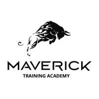 Maverick Training Academy logo - Similar company to Nyla Business Ventures