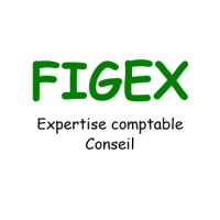 FIGEX logo - Similar company to Scale Expertise