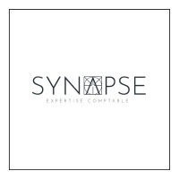 SYNAPSE EXPERTISE logo - Similar company to Impulse Data